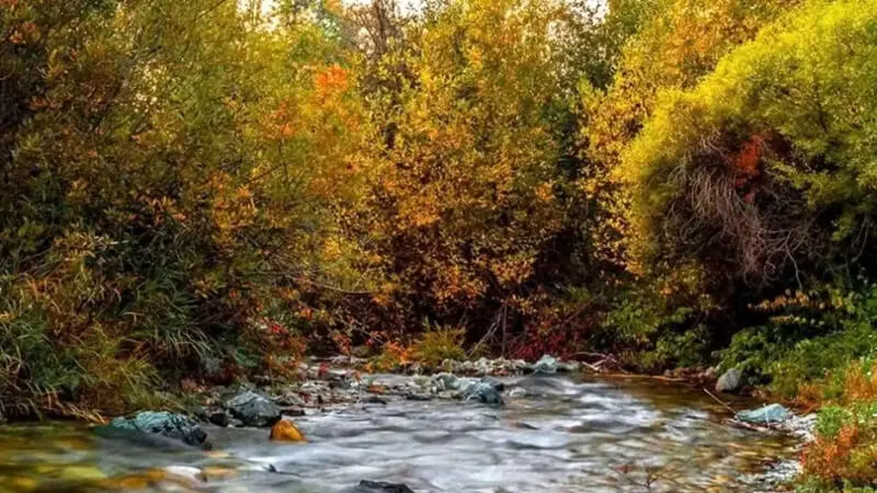 روستای شهرستانک