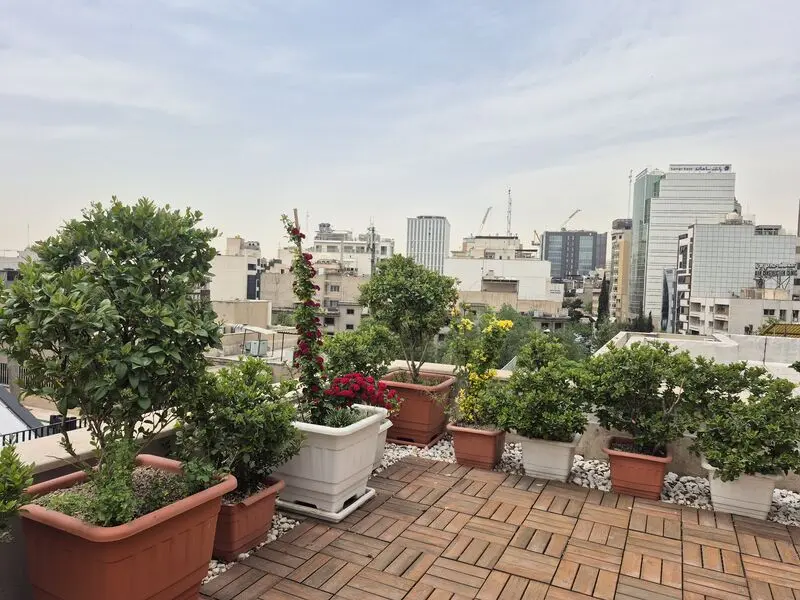 عکس دوربین اصلی گلکسی S24 FE