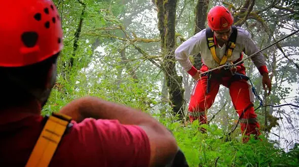 755 نفر در گلستان تا یک قدمی مرگ رفتند + جزئیات