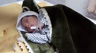 تولد نوزاد عجول زنجانی در آمبولانس + عکس
