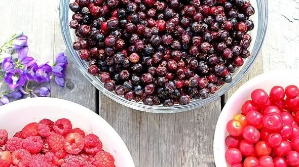 بخور و نخورهای غذایی برای بیماران نقرسی