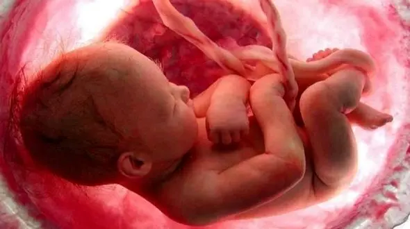 بازار سیاه رحم اجاره ای/ قیمت‌ها از 400 میلیون تومان شروع شده و بسته به شرایط فرد تا 900 میلیون تومان می‌رسد!