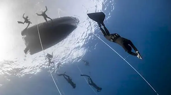 مسابقه ای عجیب در زیر دریا+عکس