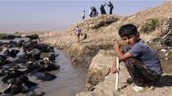 تشنگی ایران زنگ خطر برای زیست در نیمی از سرزمین/ تابستانی ۵ ماهه و آبی که نیست