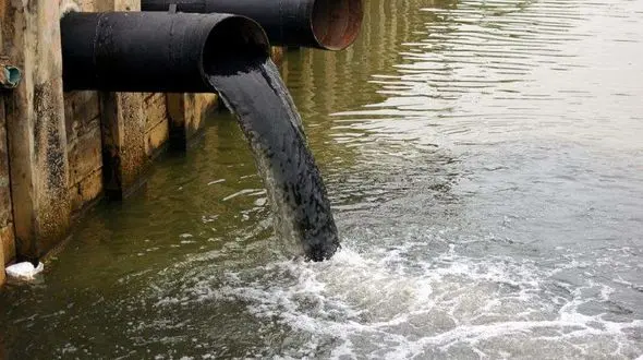 5 کشور حاشیه خزر، شعور حفاظت از دریاچه را ندارند / گونه های دریایی از ماهی خاویار تا فک ها در معرض انتقراض و نابودی