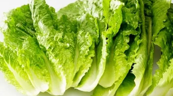 با این روش ها شکم تان صاف می شود!