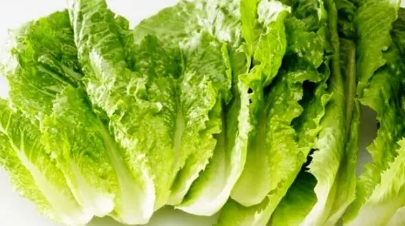 با این روش ها شکم تان صاف می شود!