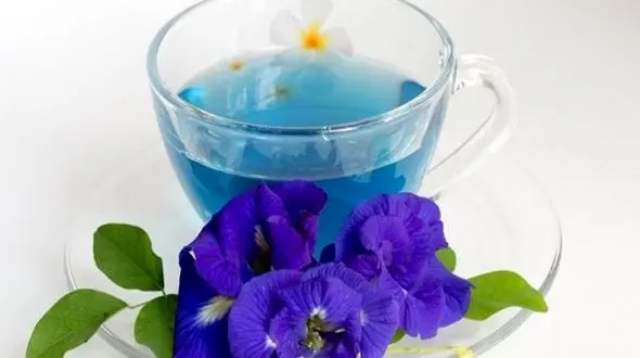 تقویت بدن با عرق گیاهی در هوای گرم تابستان