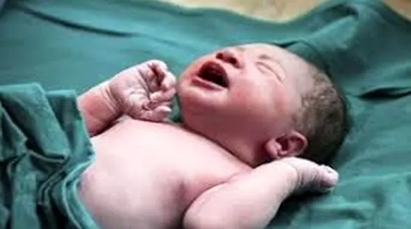 نوزاد را داخل کیسه زباله رها کردند! / در سنندج رخ داد