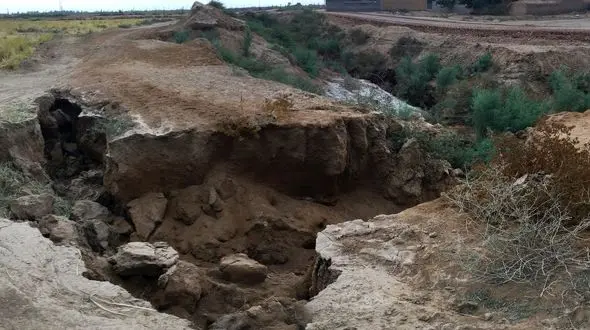 سالانه 130هزار هکتار از اراضی مرتعی و  148 هزار هکتار از جنگل های ایران کم می شود / 4 استان 3 برابر بیشتر درگیر فرسایش خاک 