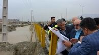 رئیس سازمان بازرسی از مناطق سیل‌خیز تهران بازدید کرد