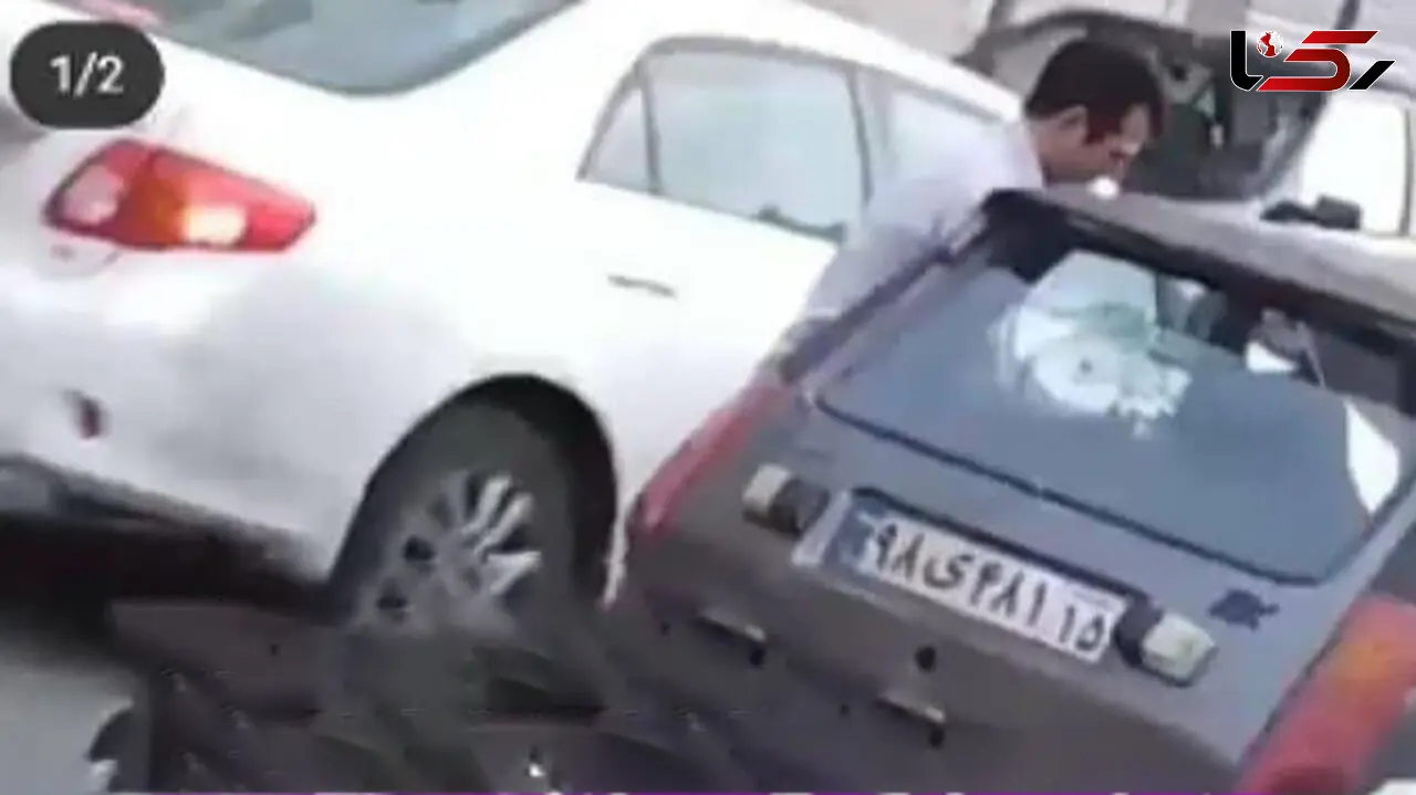 گربه کشی بعد از  سگ کشی دردناک در تبریز / این مرد را می شناسید؟+ فیلم