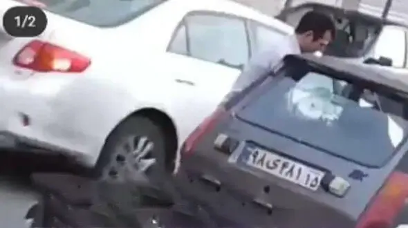 گربه کشی بعد از  سگ کشی دردناک در تبریز / این مرد را می شناسید؟+ فیلم