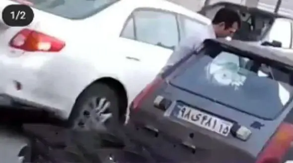 گربه کشی بعد از  سگ کشی دردناک در تبریز / این مرد را می شناسید؟+ فیلم