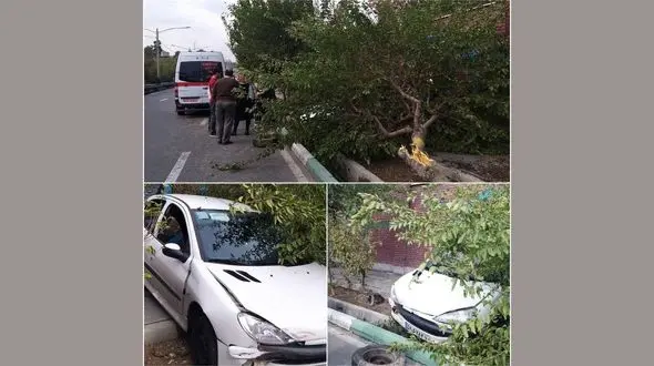 انحراف 206 در بلوار هجرت تهران / راننده خانم مصدوم شد