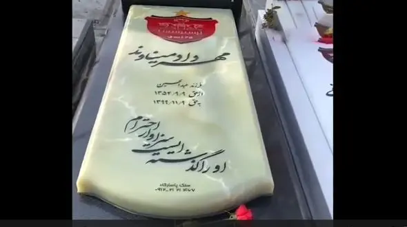 عکس از سنگ مزار مهرداد میناوند + فیلم