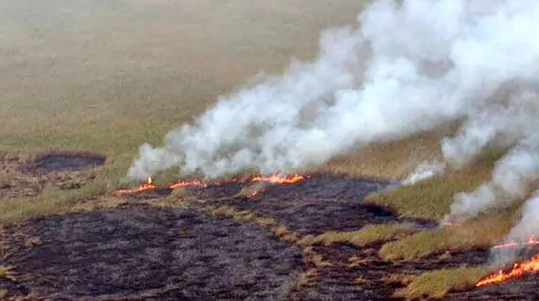  ۱۰ هکتار مزرعه کشاورزان اصفهانی در آتش سوخت