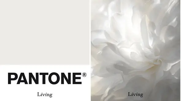 رنگ سال 2026 چیست؟ چرا رنگ جدید هیچ رنگی ندارد؟ / فیلم