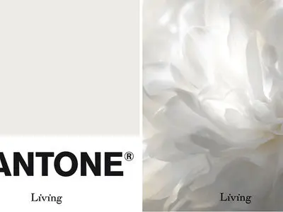 رنگ سال 2026 چیست؟ چرا رنگ جدید هیچ رنگی ندارد؟ / فیلم