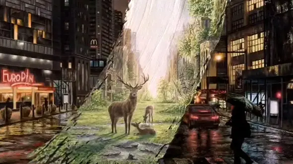 از مهارت در کار تا پرورش گیلاس بنفش در ژاپن