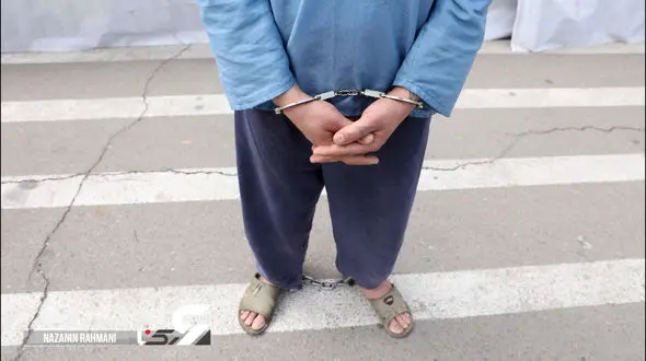 بازداشت دزدان وانت سوار ددر خیابان دبستان / شگردشان برای دزد خاص بود