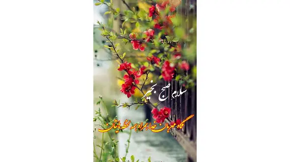 فال ابجد امروز / 24 مرداد + فیلم