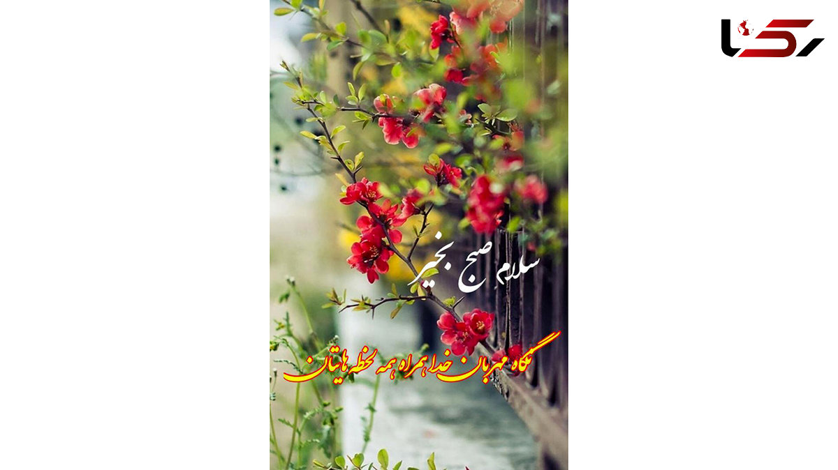 فال ابجد امروز / 24 مرداد + فیلم