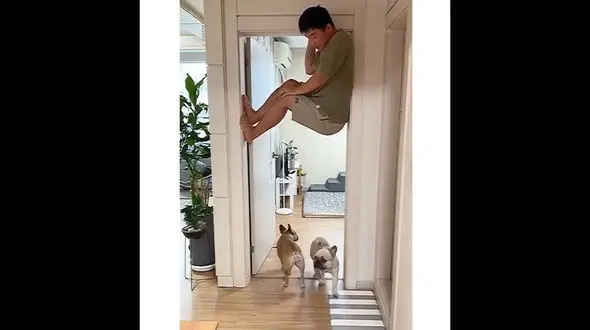 قایم موشک بازی یک مرد با سگ هایش + فیلم