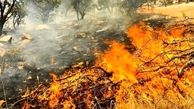 مهار آتش‌سوزی در 115 هکتار از اراضی چهارمحال و بختیاری