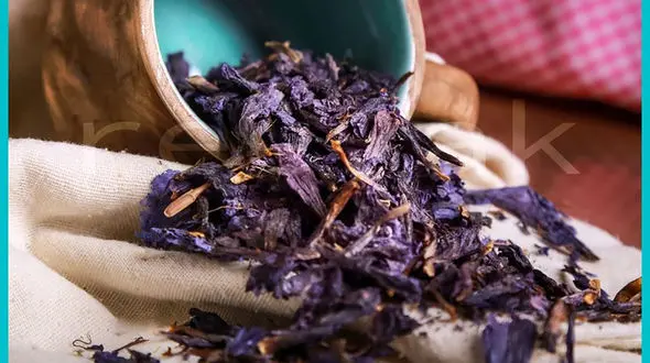 اهمیت گل گاو زبان برای خانم ها در دوران قاعدگی 