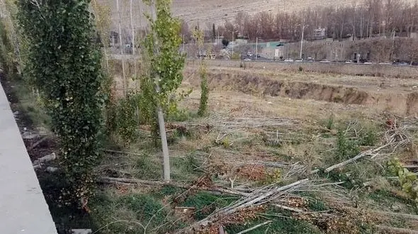 اکبری: حفاظت از درختان پادگان 06 در حیطه  وظایف سازمان منابع طبیعی است/ در مدیریت کلان طبیعت کشور دچار اشتباه هستیم