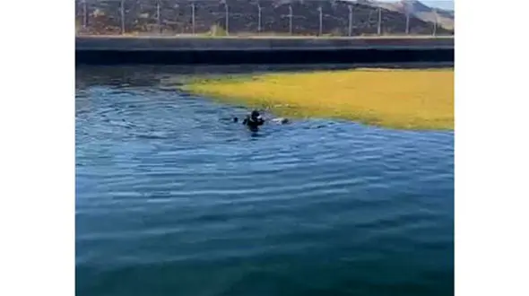 غرق شدن پرستار جوان در سد آیدوغموش میانه