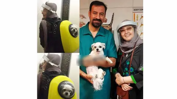 عکس سگ کتایون ریاحی / او دیگر به سینما بر نمی گردد!