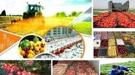 جعفرآباد قم نیازمند احداث شهرک فرآوری محصولات کشاورزی است