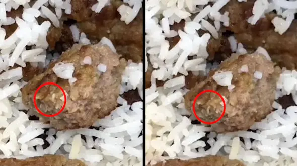 فیلم کباب کرم زده در دانشگاه علوم پزشکی همدان + واکنش مسئولان دانشگاه به توزیع غذای بی کیفیت در سلف