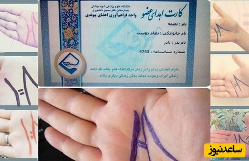 هنرمند