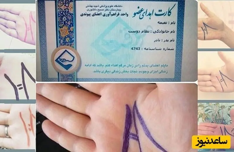 هنرمند