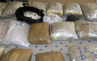 Drug-smuggling gang dismantled in Tabriz
