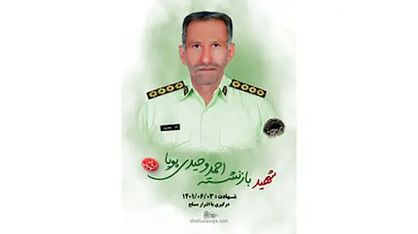 دستگیری عاملان شهادت نگهبان بانک سپه چابهار + عکس