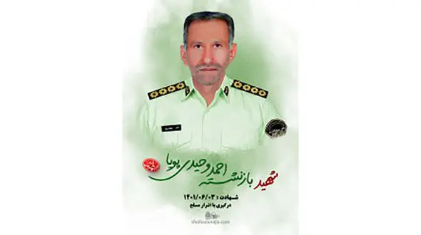 دستگیری عاملان شهادت نگهبان بانک سپه چابهار + عکس