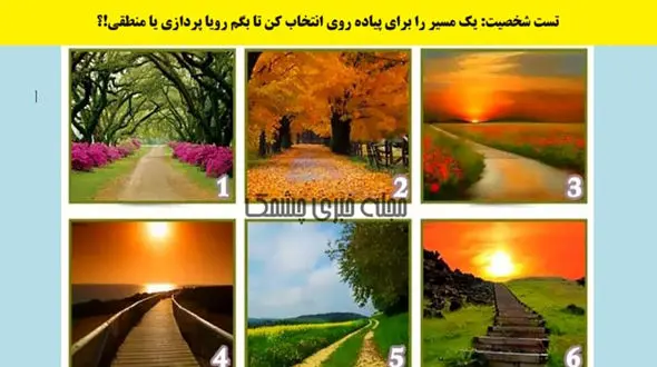 تست شخصیت: یک مسیر را برای پیاده روی انتخاب کن تا بگم رویاپردازی یا منطقی!؟