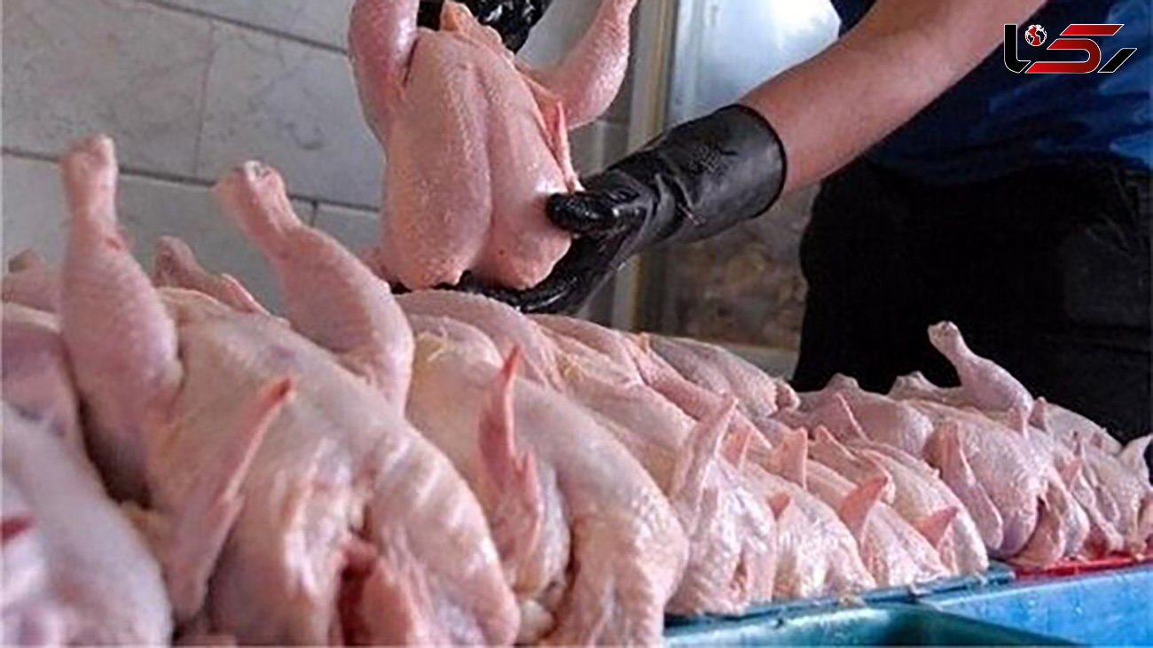 قیمت مرغ در بازار امروز 27 اردیبهشت ماه کاهش یافت + جدول