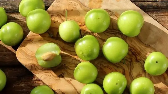 این خوشمزه بهاری با عفونت ها مبارزه می کند