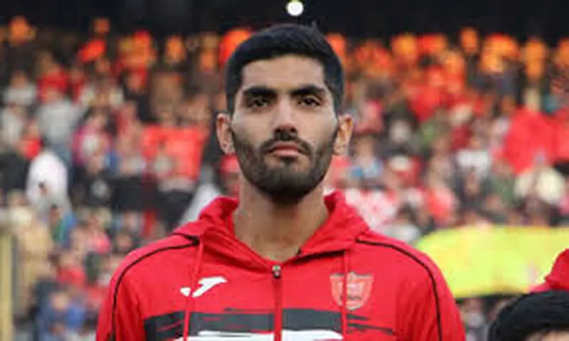 محمد انصاری
