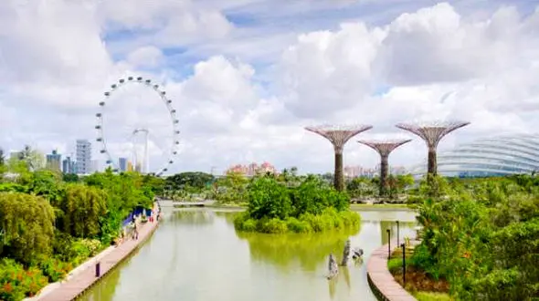 سفری رویایی به پردرخت ترین شهر جهان را تجربه کنید