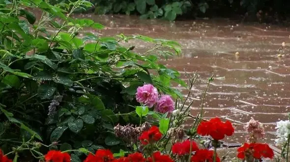 وضعیت بارش برف و باران کشور در اولین روز هفته/ آسمان تهران نیمه ابری است