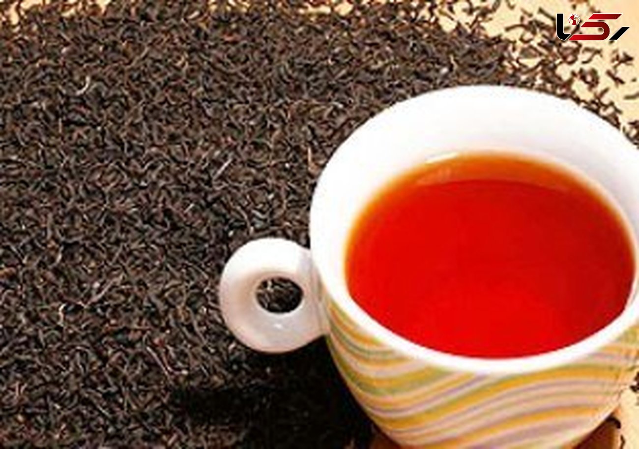 تولید بیش از 3000 تن چای خشک بهاره