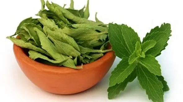 با این گیاه با چاقی مقابله کنید