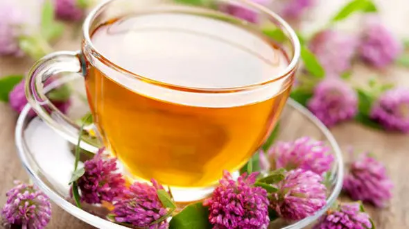 گیاهی که به سلامتی زنان کمک می کند/کاهش دردهای لگنی با سنبل الطیب