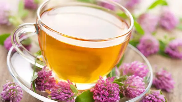 گیاهی که به سلامتی زنان کمک می کند/کاهش دردهای لگنی با سنبل الطیب